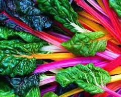 Colorful Swiss chard