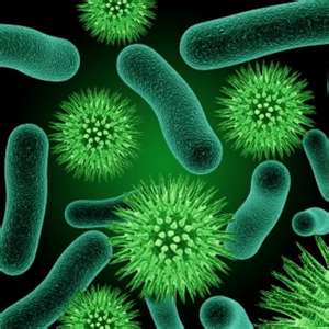 Probiotics Probiotics